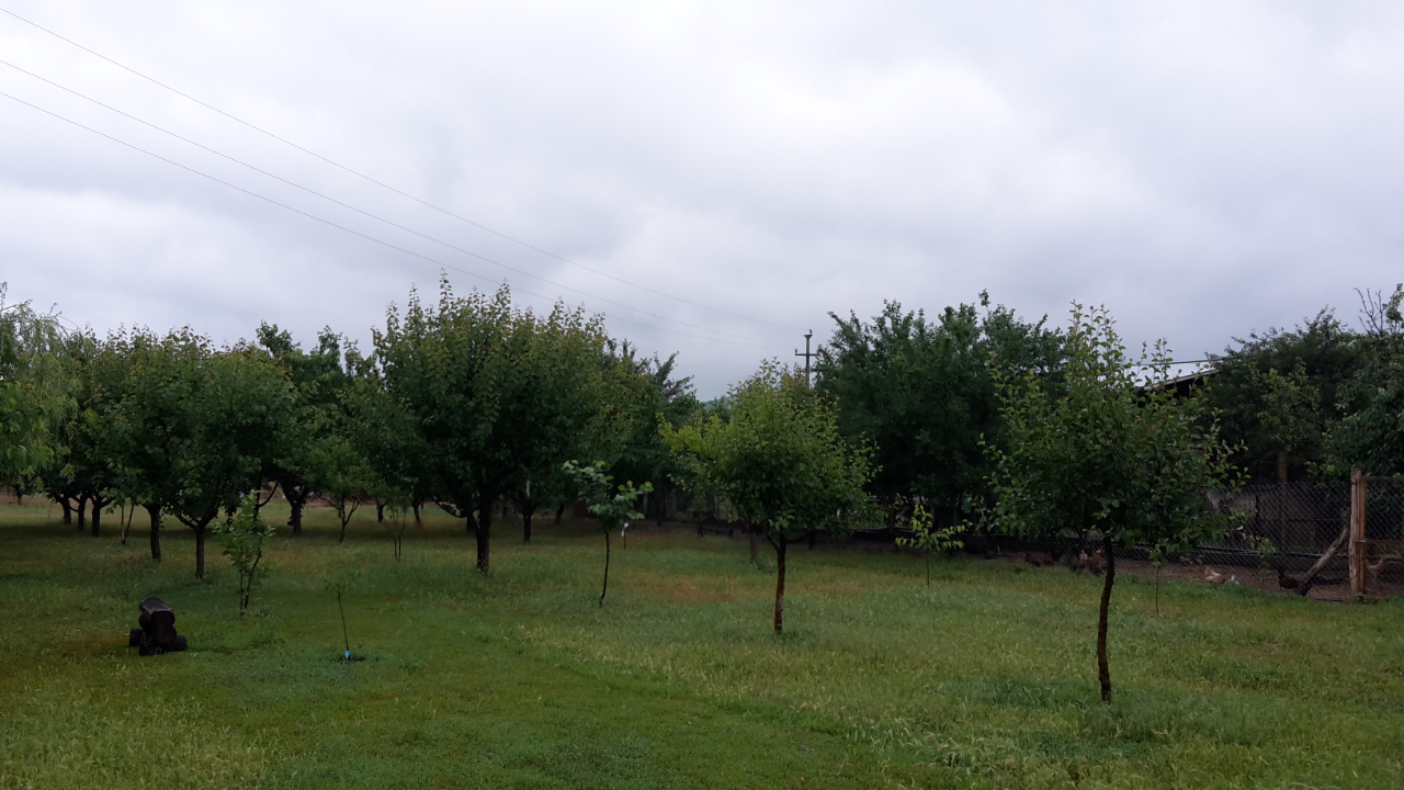Despre vreme si traseu, de la fata locului